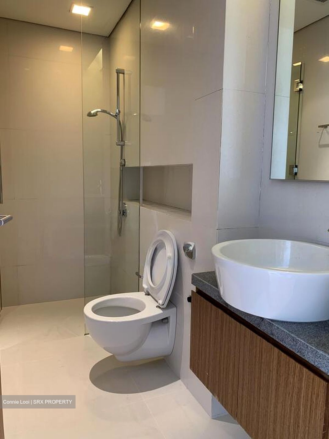 Shamrock Park (D10), Detached #477665401